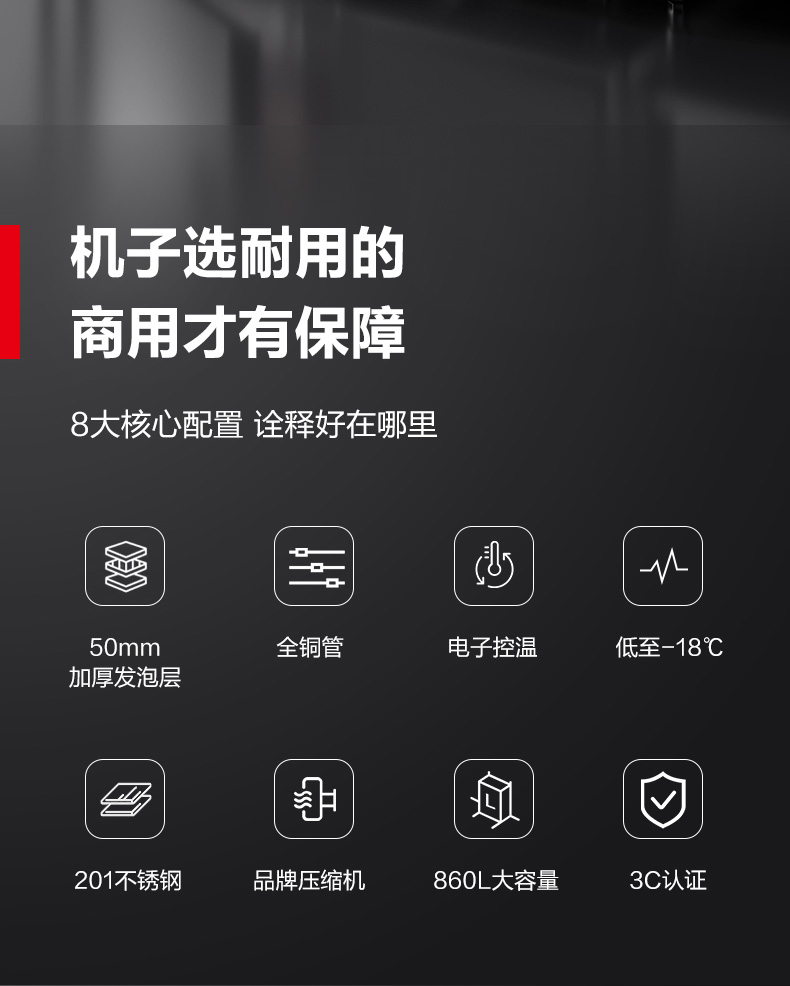 鼎邦-DMS-LG-860DZ-WA2-商用冰箱-790(改温度）_03.jpg